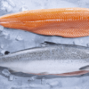 kvaroy-arctic-salmon